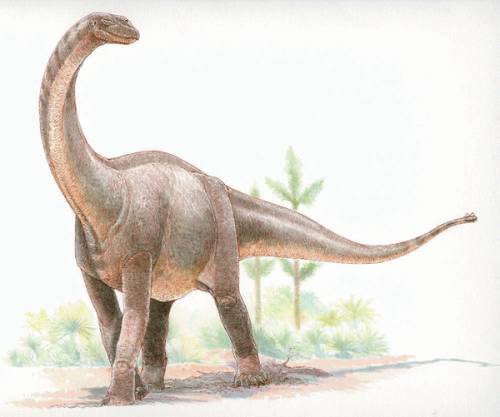 Титанозавр